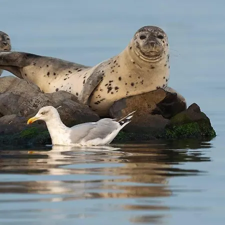 Let Op De Badkamer Moet Met Andere Gasten Gedeeld Worden Goedereede