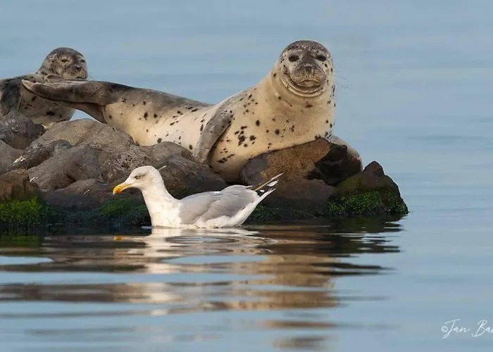 Let Op De Badkamer Moet Met Andere Gasten Gedeeld Worden Goedereede